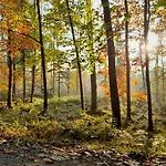 Haus Am Goldsteig - Zentral, Ruhig Stadtnah - Anbindung - Biergarten Und Pizzeria Direkt Vor Der Tuer *