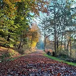 Haus Am Goldsteig - Zentral, Ruhig Stadtnah - Anbindung - Biergarten Und Pizzeria Direkt Vor Der Tuer Salzweg