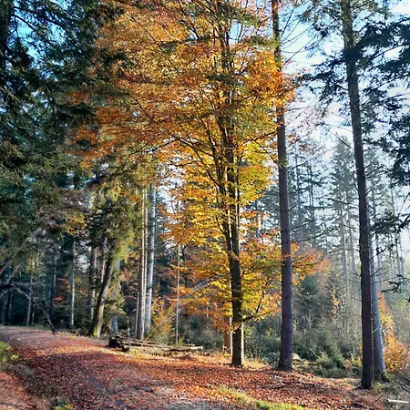 Haus Am Goldsteig - Zentral, Ruhig Stadtnah - Anbindung - Biergarten Und Pizzeria Direkt Vor Der Tuer Apartman Salzweg