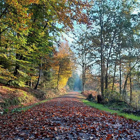 Haus Am Goldsteig - Zentral, Ruhig Stadtnah - Anbindung - Biergarten Und Pizzeria Direkt Vor Der Tuer Salzweg
