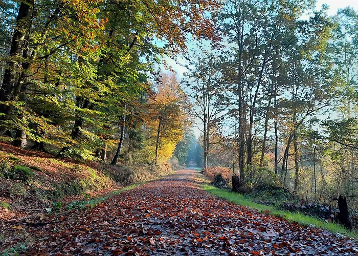 Haus Am Goldsteig - Zentral, Ruhig Stadtnah - Anbindung - Biergarten Und Pizzeria Direkt Vor Der Tuer Salzweg